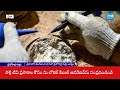 Scientists Discover 85-Million-Year-Old Dinosaur Eggs in Qinglongshan || China || @SakshiTV  - 01:05 min - News - Video