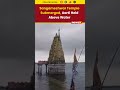 #watch | Devotees Climb Temple Top for Aarti as Sangameshwar Temple Submerges in Banswara | #shorts  - 01:00 min - News - Video