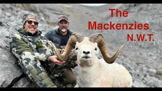 The Mackenzies - 2024 Dall Sheep Hunting - N.W.T.
