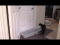 חתול פותח דלתות