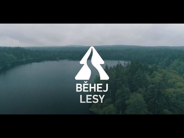 Běhej lesy Slavkovský les 2019