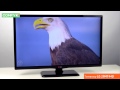 LG 29MT44D-PZ - универсальный телевизор - Видеодемонстрация от Comfy