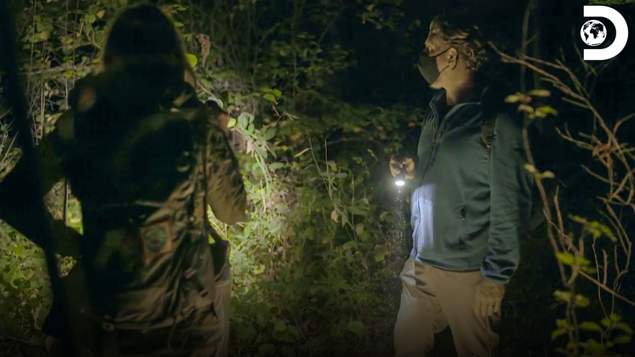 Bigfoot Target Zone Revealed | Expedition Bigfoot S2 E7 | Discovery Channel India