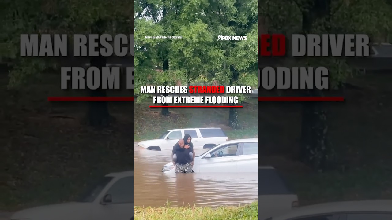 WATCH: Good Samaritan rescues woman stranded on top of her submerged car #usa #shorts #flood