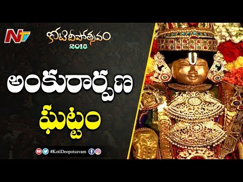 Srinivasa Kalyanam at Koti Deepotsavam on 19th day Srinivasa Kalyanam at Koti Deepotsavam on 19th day