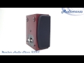 Специальная тыловая акустика Monitor Audio Silver RXFX