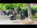 US stocks end up on jobs data, China hopes; Tesla bounces | REUTERS  - 01:48 min - News - Video
