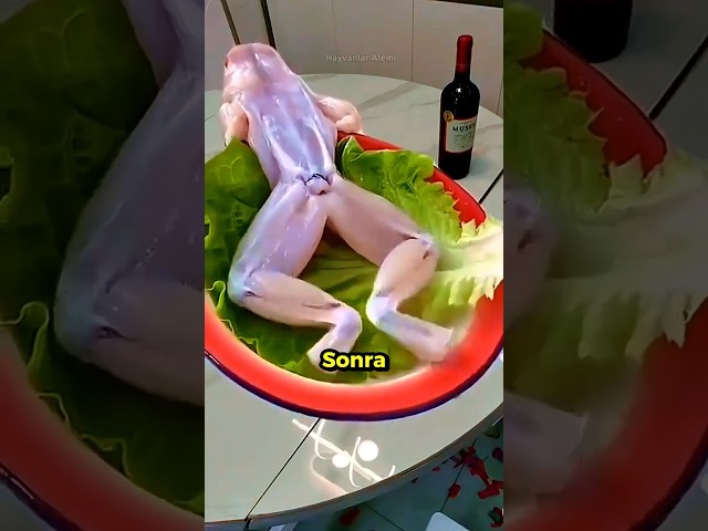 Öldükten Sonra Bile Hareket Eden 3 Canlı! 🐟🐸🐔