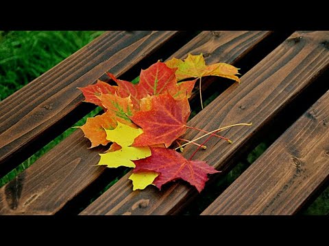 🍂🍁🌻 Der Herbst steht auf der Leiter — Hello Fall 🌻🍂🍁