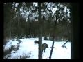 Big Bore Air Rifle Russian Boar Hunting with Gargoyle 45-1.wmv