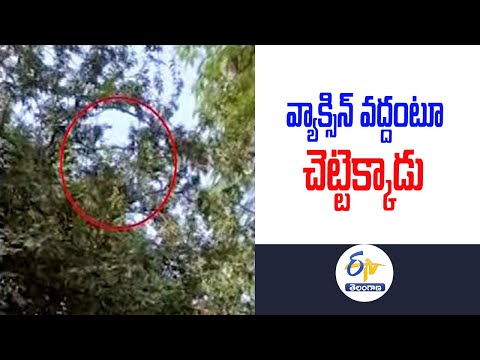 Man climbs tree to escape Covid vaccination in Telangana Man climbs tree to escape Covid vaccination in Telangana