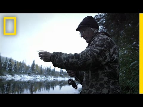 Sinking Beaver Sinking Beaver