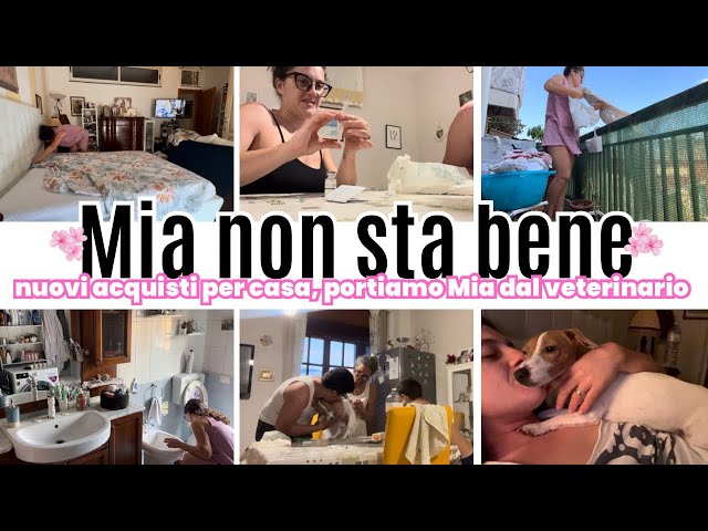 Portiamo Mia dal veterinario/ non sta tanto bene/ nuovi acquisti per casa/ debbyg vlog giornalieri✨