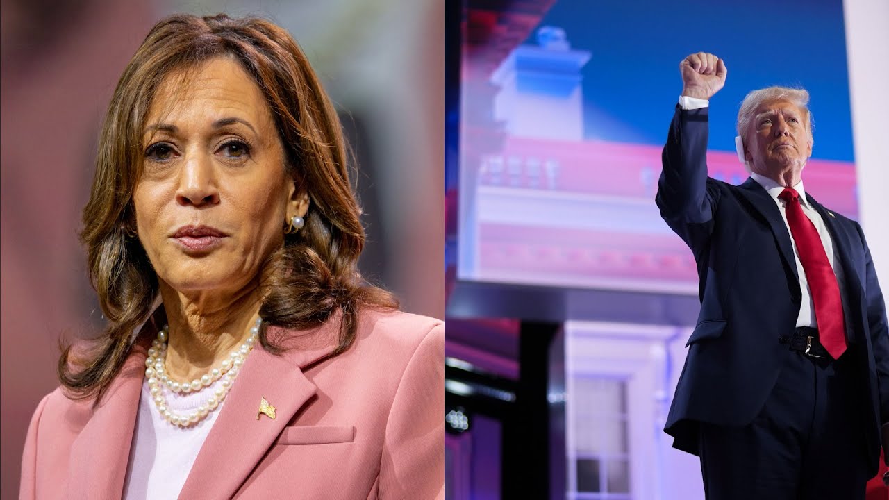 Latest Poll Numbers, Economy On Harris & Trump