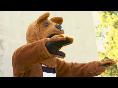 Race Video