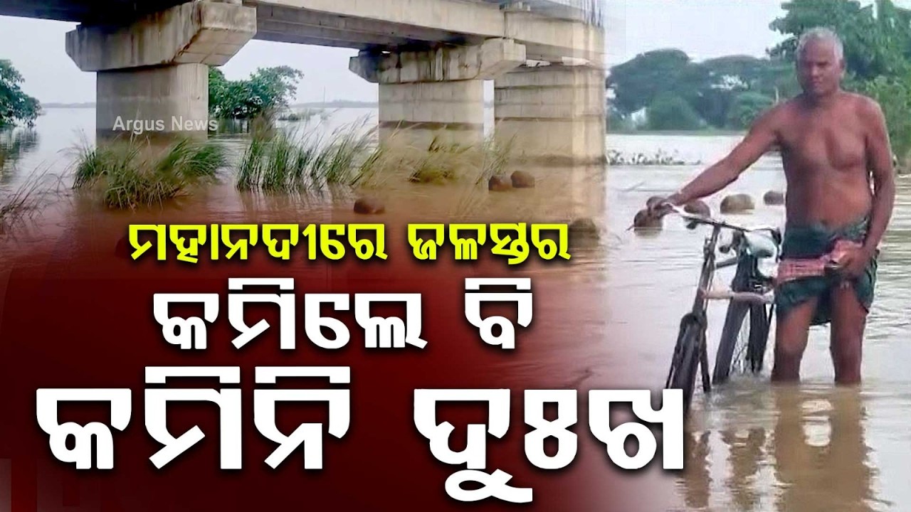 Mahanadi Flood Update: Several Villages In Banki Submerged & Cut Off From Mainstream | Argus News