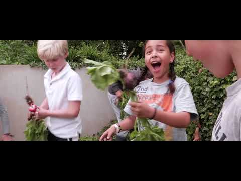 De Schooltuin'