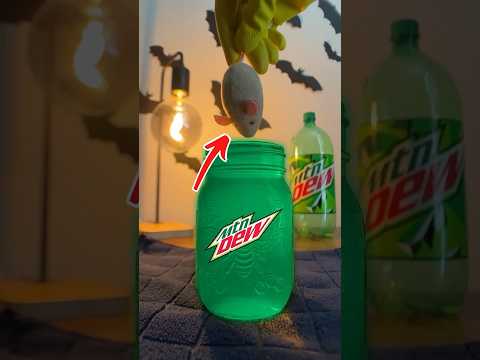 mountain dew can DISSOLVE a mouse... or can it? 🐁