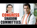 V6 : Sonia Gandhi forms shadow cabinet committees
