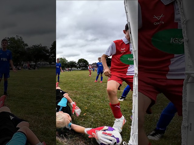 Should this goal stand?