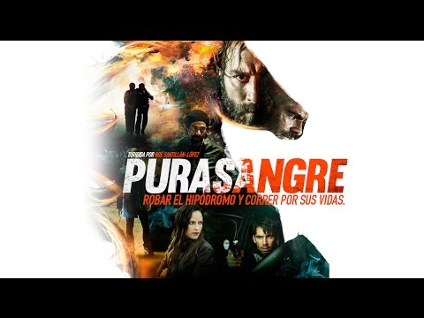 Purasangre'