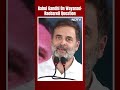 Rahul Gandhi News | On Wayanad-Raebareli Question, Rahul Gandhis Both Will Be Happy Remark