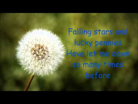 Dandelion Kacey Musgraves lyrics