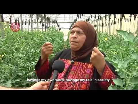 الزراعة العضوية تشكل 10% فقط من الزراعة في فلسطين