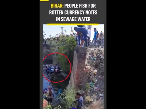 Viral video shows people collecting currency notes from sewage water
