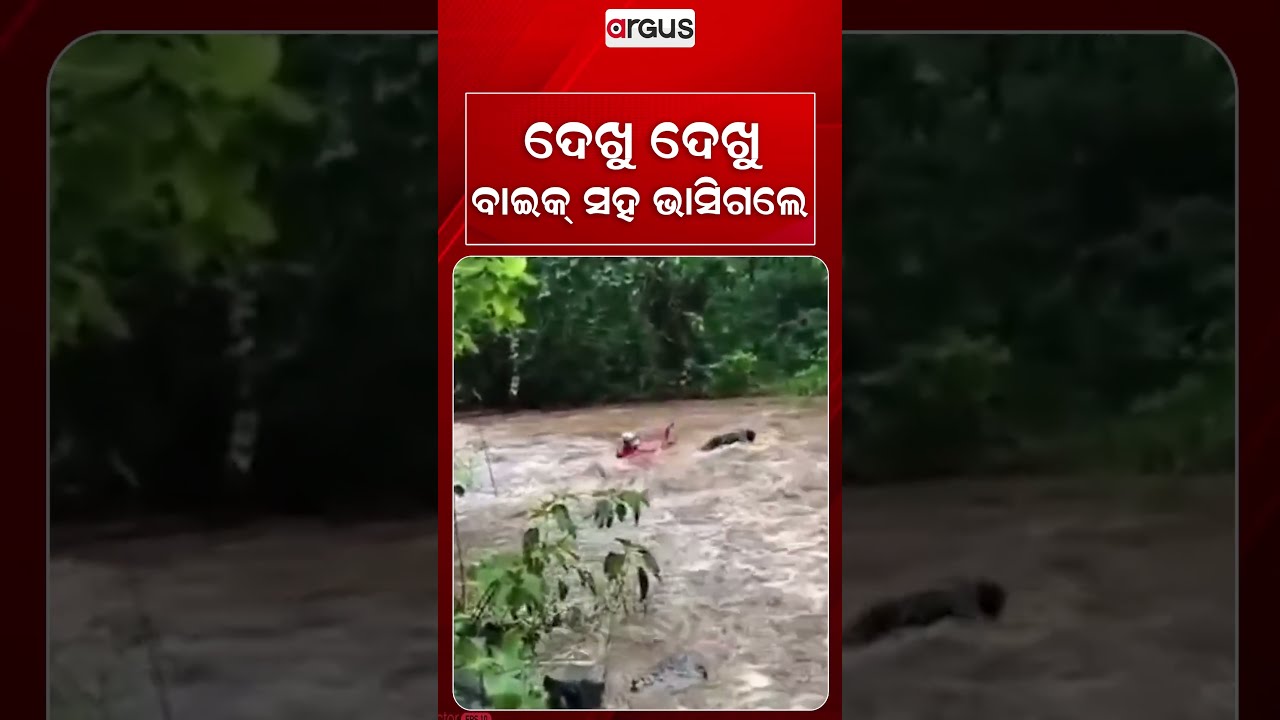 ଦେଖୁ ଦେଖୁ ବାଇକ୍ ସହ ଭାସିଗଲେ | Odisha Flood | Heavy Flood | Argus News