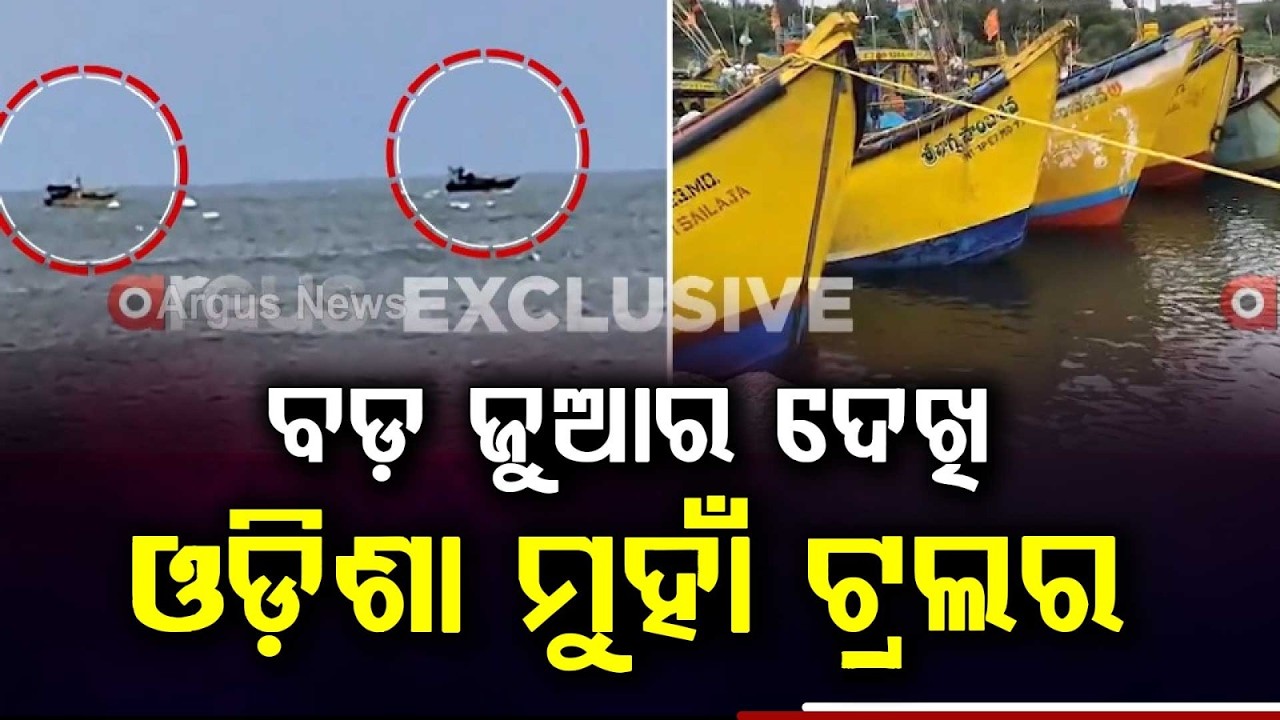 Deep Depression In Sea: 20 Andhra Trawlers Take Shelter At Aryapalli Coast In Ganjam | Argus News