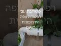 מערכת הידרופונית ביתית 18 חורי שתילה משולבת: צינורות בקוטר 6 צול עם MINI DWC