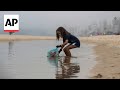 7-year-old Nina Gomes is Brazil’s environmental star