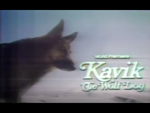 The Courage of Kavik, the Wolf Dog'