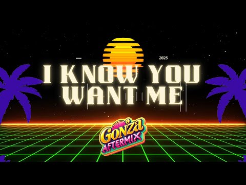 Pitbull  - I Know You Want Me (Calle Ocho) Gonzaftermix ( REMIX )