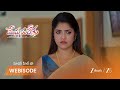 MEGHASANDESAM | గగన్ కోసం భూమి ప్రార్ధన