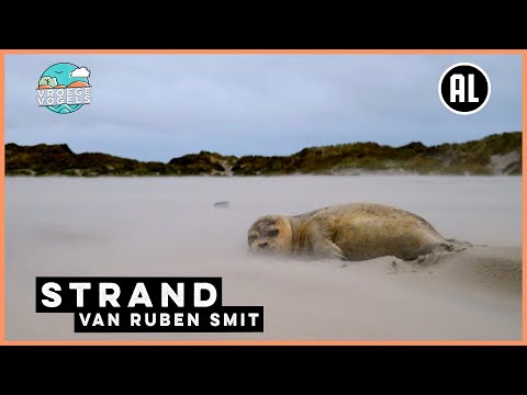 Strand'