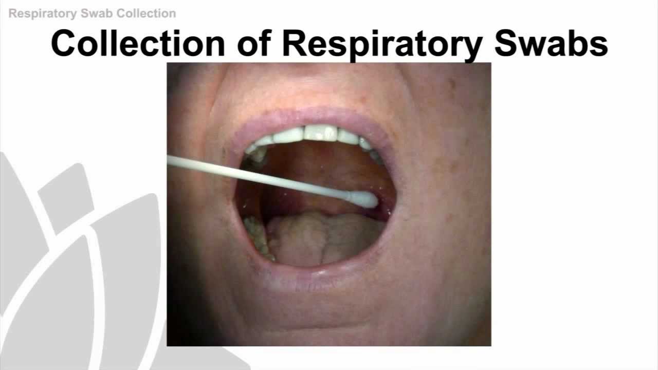 Respiratory Swab Collection Training Video - NSW Health - YouTube