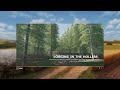Logging In The Hollers v1.0.0.0