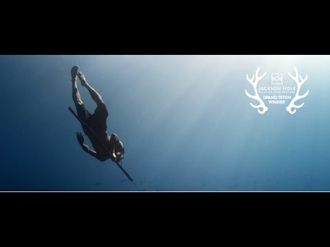 Jago: A Life Underwater'