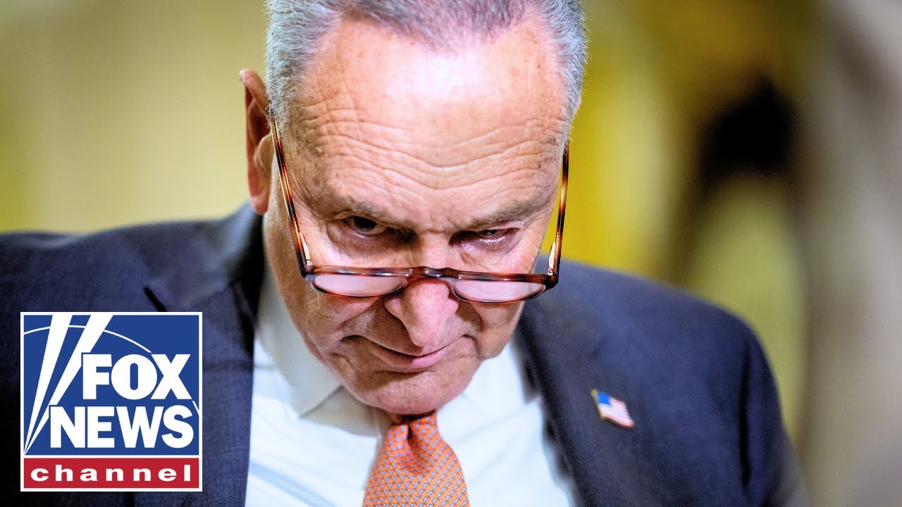 Schumer ROASTED for wanting to 'play political games'