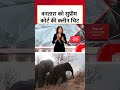 Ambani Vantara Wildlife: वनतारा को Supreme Court की क्लीन चिट #shorts #shortsvideo #viralvideo  - 02:27 min - News - Video