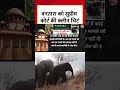 Ambani Vantara Wildlife: वनतारा को Supreme Court की क्लीन चिट #shorts #shortsvideo #viralvideo