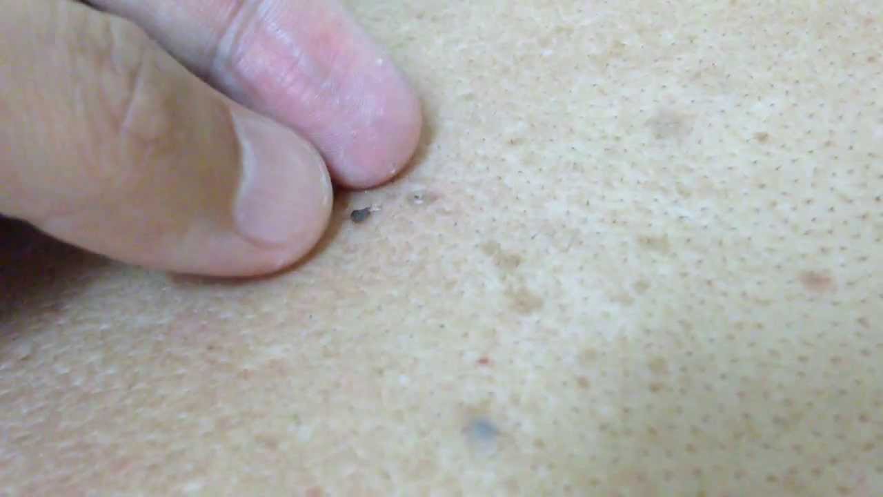 あなたの輪郭はどのタイプ?顔の形9つの ...