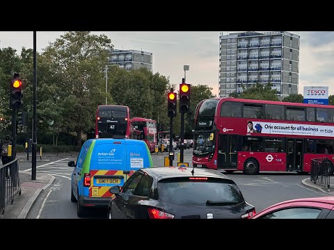 That Bus Driver Guy
