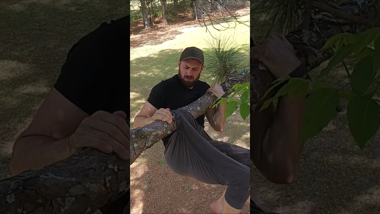 Pants Stuck on Tree