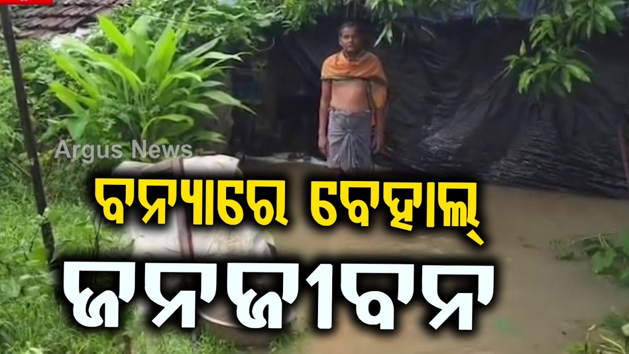 Heavy Rain & Flood Havoc in Keonjhar: Villages Submerged, Crops Damaged in Hatadihi | Argus News