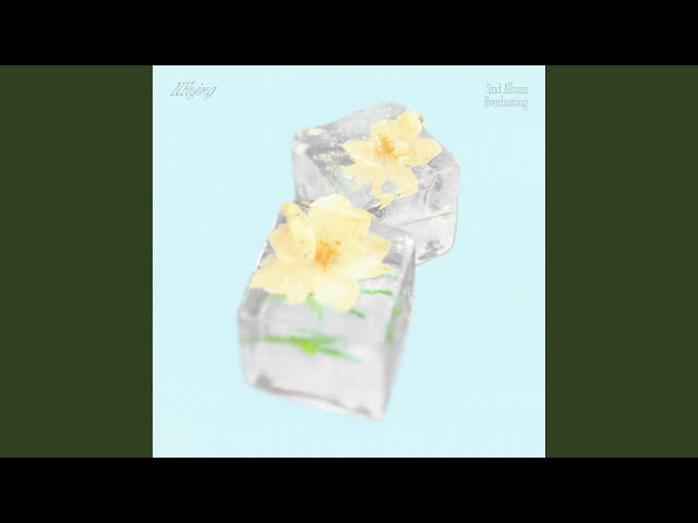 Everlasting (만년설 (Everlasting))