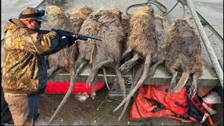 Hunting Giant Nutria RATS from a Moving Boat!  Catch Clean Cook!