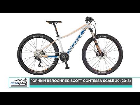 scott contessa 20 2008